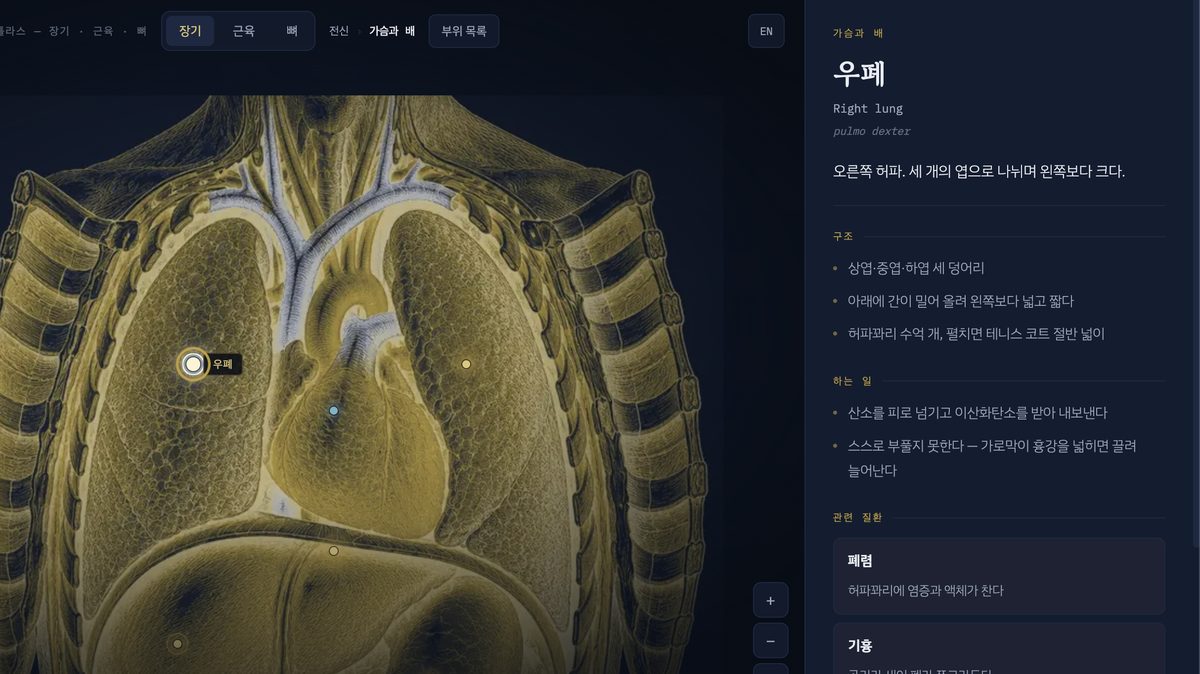 과학아틀라스 인체 아틀라스 화면 — 우폐를 누르면 구조와 기능이 열린다